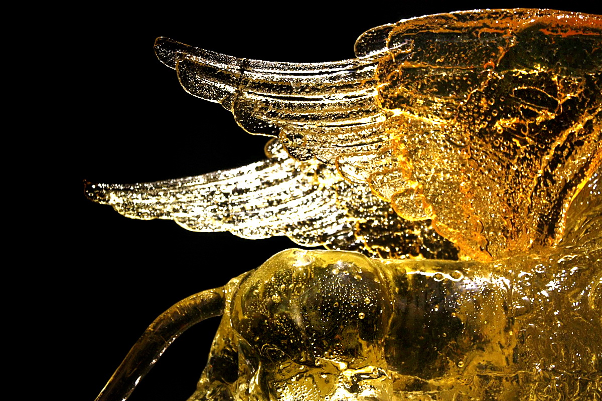 Sugar Sculpture